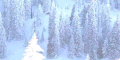 �����.[120x60]
